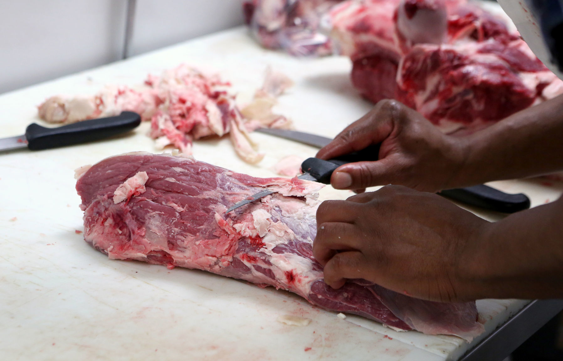 CONSCIOUS CARNIVORE